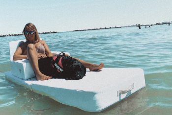 Met je hond naar zee in de vakantie